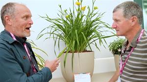 Graham Spencer and Matthew Appleby discuss Hemerocallis See You Tomorrow at Chelsea 2025